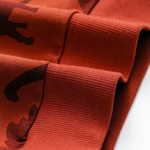 Sweat pour enfants Vêtements pour enfants Pull à manches longues en pur coton Sweat à capuche respirant pour enfants Top Sweats à capuche pour enfants - Product Image 4