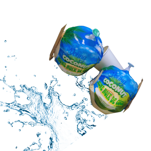 Produit de l'agriculture vietnamienne à la noix de coco fraîche avec une touche de nature - Product Image 3