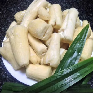 มันสำปะหลังปอกเปลือกแช่แข็งบรรจุเพื่อการส่งออกและใช้เป็นจำนวนมากจากราก yuca พรีเมี่ยมที่เก็บเกี่ยวในเวียดนาม - Product Image 1