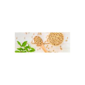 High Quality Organic Non-GMO Yellow <b>Soybeans</b> 8.0mm Dried Soya Beans Bulk Packed - Product Image 3