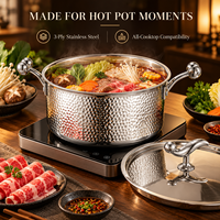WOXIANG Marmite robuste en acier inoxydable triple épaisseur 16 cm, corps monobloc estampé pour faire bouillir et mijoter