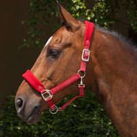 Harnais rembourré en nylon pour cheval, avec rembourrage en polaire pour un confort optimal lors de la monte.