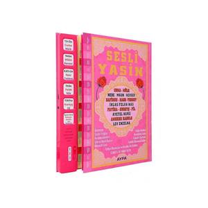 Haut-parleur Coran AUDIO YASIN-I SHARIF rose, en plastique, avec télécommande et contrôle tactile, connectivité USB, fonctionnalités FM - Product Image 1