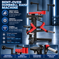 Machine de musculation pour les deltoides arrière, type suspension de plaques de poids, pour exercices de levée des haltères en position accroupie, vente en gros usine BN Chine