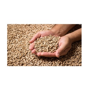 Pellets de madera en venta a precio económico, pellets de biomasa limpios para calderas, estufas, hornos y energía renovable. - Product Image 5