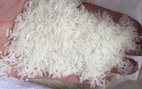 Riz long grain de jasmin du Vietnam, prix compétitif, norme internationale, 20 kg