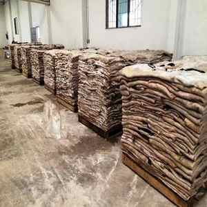 Hot Selling Price of <b>Raw</b> Wet Salted and Dried Cow Leather / Hides / <b>Skins</b> in Bulk Quantity - Product Image 2