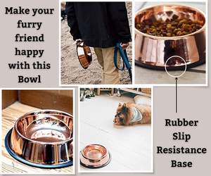 Le bol pour chien en acier inoxydable est la solution d'alimentation ultime pour votre compagnon canin - Product Image 2