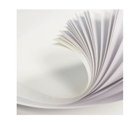 Papier rigide en carton blanc de différentes largeurs c1s 180g 200g 230g 260g 300g Papier carton blanc pour l'emballage