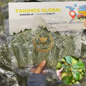 Hojas de Guanábana secas a granel de Vietnam | Proveedor mayorista de ingredientes de té de hierbas Graviola de primera calidad - Product Image 1
