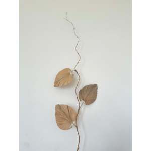 Hojas Secas Naturales Decorativas Geronban Chinta - Product Image 1