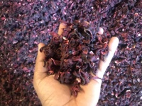 Rikaz Sudan Direkt gewonnener hochwertiger getrockneter Hibiskus-Blumen tee Roh pulvers amen Landwirtschaft produkte Hibiskus-Teesaft
