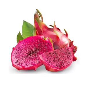 แก้วมังกร - Product Image 2