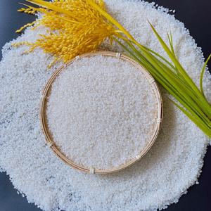 HAUTE QUALITÉ JAPONICA CALROSE KOSHIHIKARI RIZ BLANC À GRAIN COURT TEXTURE DOUX SÉCHÉE IRRI pour TOUS LES MARCHÉS 25KG PP SAC - Product Image 6