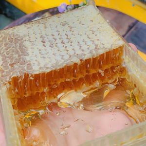WHOLE <b>ORGANIC</b> HONEYCOMB / a TREAT STRAIGHT FROM NATURE / MADE in VIETNAM - Product Image 5