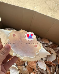 ผลิตภัณฑ์จากเปลือกปูสำหรับกระบวนการอุตสาหกรรมและชีวภาพ - Product Image 6