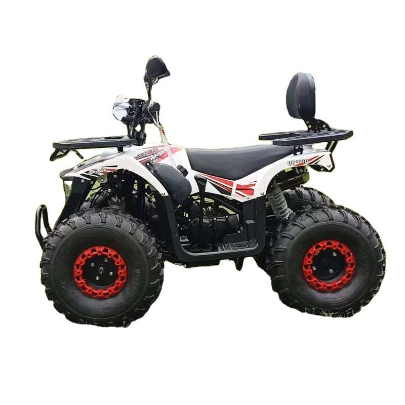 New Powerful 2000w 60v Electric Atv