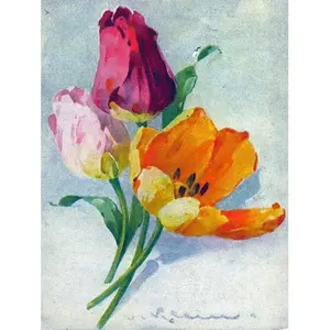 C. Klein Tulipe Fleurs Céramique Murale Cuisine Salle de Bain Dosseret Carrelage - Product Image 1