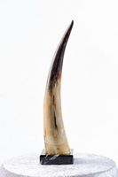 Corne de buffle polie de qualité supérieure, sculptée style animalier, artisanat naturel pour mariage, fête, vin et eau