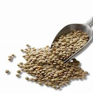 ขายร้อนของถั่วเขียวที่มีจำหน่ายในราคาที่เหมาะสม - Product Image 2