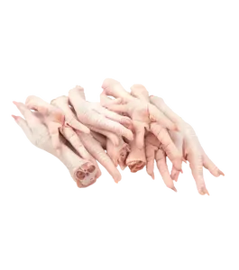 สั่งซื้อขาไก่แช่แข็งและอุ้งเท้าไก่แช่แข็งราคาถูกจำนวนมาก - Product Image 6