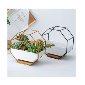 New style Terrarium Flower Pots Planter <b>Vase</b> for Home and Garden Decoration Luxury Design Table Decorative Geometric Terrarium - Product Image 5