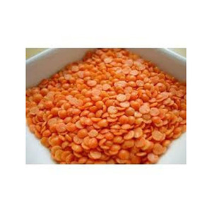 Lentilles rouges économiques en gros, légumineuses de haute qualité, stock d'exportation prêt à l'emploi - Product Image 2