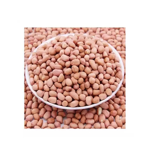 OEM Factory <b>peanut</b> supplier Brand Wholesale Price Natural Healthy kernel <b>Peanut</b> - Product Image 5