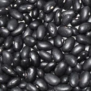 Frijoles Negros Sin OMG |   Calidad Premium de Grado de Exportación |   Oferta Especial: Bolsas de 25kg/50kg |   Almacenamiento en Seco, Orgánico, 24 Días de Duración - Product Image 5