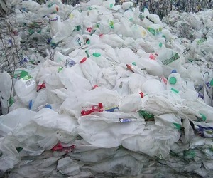 High Quality <b>HDPE</b> Milk Bottle Scrap Wholesale <b>HDPE</b> Pellets and Particles - Product Image 3