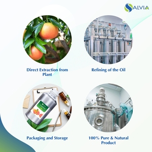 100% huile essentielle de pamplemousse pure et naturelle en vrac en gros avec emballage personnalisé à bas prix - Product Image 4