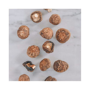 Cultivo de hongos shiitake y setas shiitake secas - Product Image 6