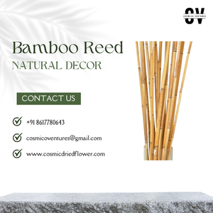 เสากกไม้ไผ่เดิมสำหรับปลูกสวนเพื่อการเกษตร100% เป็นมิตรต่อสิ่งแวดล้อมทำจากไม้ไผ่ดั้งเดิม - Product Image 4