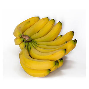 Cavendish <b>Banana</b> Hot Organic Cultivation Type Tanachi Brand Name Sweet Taste - Product Image 1