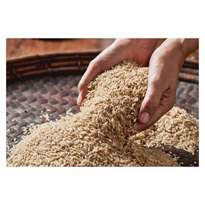 Arroz integral de calidad superior para compradores mayoristas y distribución minorista global - Product Image 1