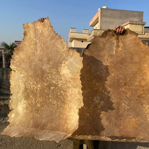 Instrumentos de Percusión Personalizados al por Mayor, Piel de Cabra para Tambor, Piel de Tambor Hecha a Mano, Tambor Chamánico, Piel de Tambor de Cuero Crudo Blanco, Duradera - Product Image 4