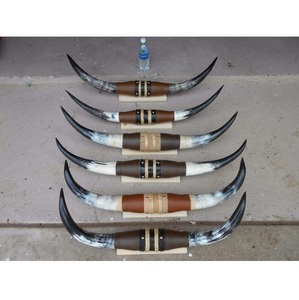 ของตกแต่งบ้านแบบฮอร์นตัวยาวสำหรับพื้นที่ที่ได้แรงบันดาลใจจากตะวันตก - Product Image 2