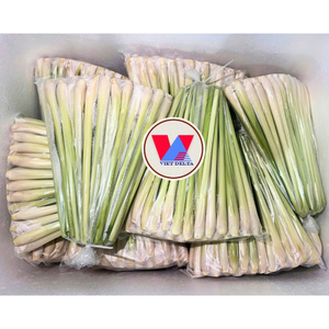 Frozen Lemongrass Stalks Vietnam High Quality Clean Cut Herb for Food Factories - Product Image 3