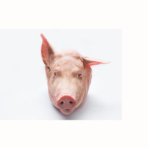 Cabeza de cerdo de alta calidad Proveedor profesional Carne de cerdo congelada Proveedor mayorista Cabeza de cerdo congelada de calidad fresca con el mejor precio de mercado - Product Image 1