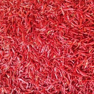 Poudre de piment rouge de qualité supérieure fabriquée à l'état brut flocons froids de la meilleure qualité et poudre fabriquée naturellement - Product Image 1