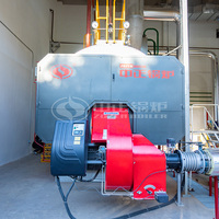 Caldera de Vapor de Gas Natural Totalmente Automática de 4 T/h para Impresión y Teñido