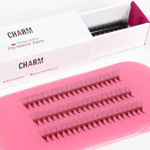Charmlash ถาดขนตาปลอมสำหรับใส่ขนตาปลอมมีฐานขน12D ตามสั่ง - Product Image 1