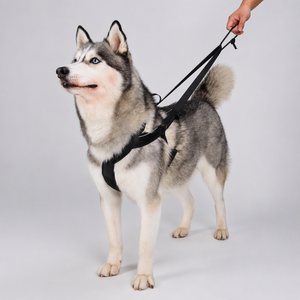 Arnés <span class=keywords><strong>de</strong></span> <span class=keywords><strong>Canicross</strong></span> <span class=keywords><strong>de</strong></span> Alto Rendimiento para Perros, para Correr, Andar en Bicicleta, Esquiar, Acolchado, Reflectante, Ajustable, para Trabajo, Arrastre, Venta al por Mayor - Product Image 1