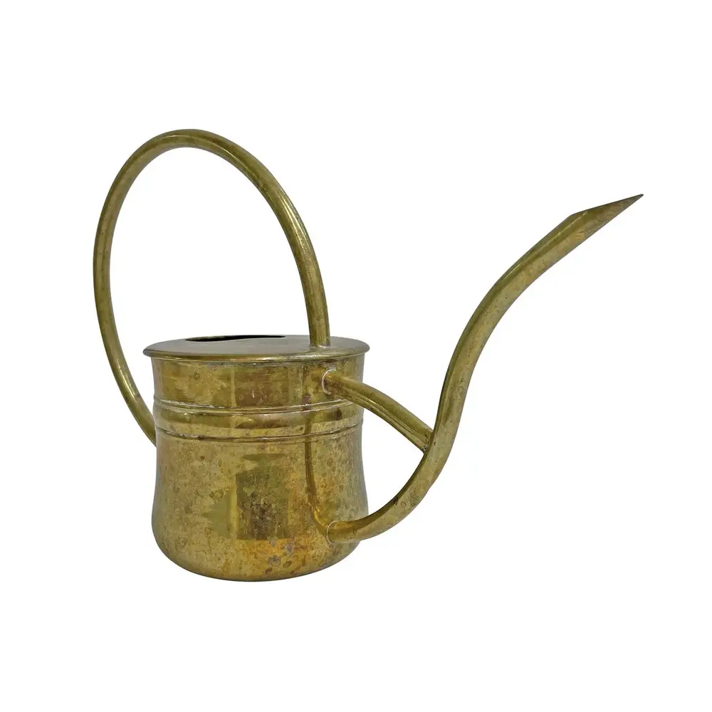 Kustom Logo tergalvanis baja alat berkebun galon logam tanaman penyiraman dapat untuk luar ruangan & dalam ruangan tanaman