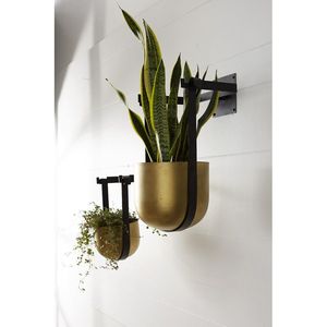 Plante suspendue décorative en fer pour l'espace de vie, ajoutant un élément inspiré de la nature à la décoration murale - Product Image 1