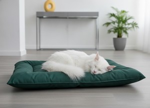 Amistar Premium Pet Bed — High-Quality <b>Cushion</b> Mat for Cats & Dogs of All Sizes and Ages. - Product Image 5