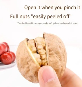 เมล็ดถั่ววอลนัทเมล็ดถั่วเมล็ดถั่ววอลนัทออร์แกนิกสดและแห้งคุณภาพสูง - Product Image 3