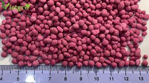 VGFert - Engrais composé à libération contrôlée granulaire rose soluble dans l'eau NPK 15-15-15 de haute qualité pour toutes les cultures - Product Image 5