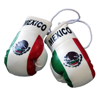 Mini gants de boxe promotionnels de miroir de voiture de qualité supérieure au design personnalisé en gros Mini gants drapeau de tous les pays Mini gants