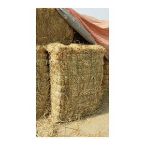 Factory price Rhodes <b>grass</b> hay high quality <b>dried</b> <b>grass</b> bales prepared for large volume shipment - Product Image 6